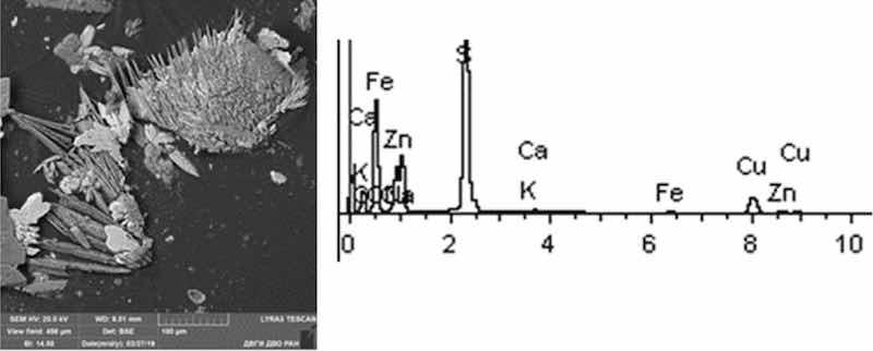 Fig 9: Cathodic degreasing 3. Particles morphology. Scanning electronic microscopy. Measuring interval 100 Âµm.