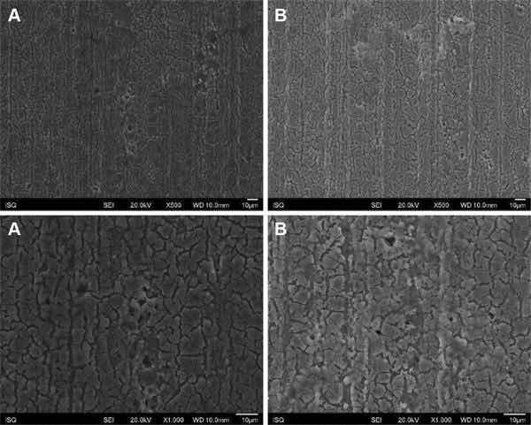 Fig 2: Illustrative SEM photomicrography obtained in the secondary electrons mode (SE) of the AA2024-T81 surface treated with Alodine 1200 before (a) and after EIS measurements of 7 days of immersion in 0.5 M NaCl (b) (Ã500 and Ã1000).