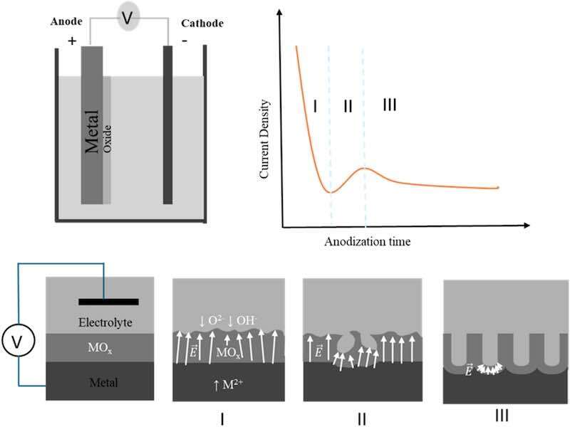 Fig. 2. Schematic and current density-time (j-t) curve illustrating the key stages of nanoporous oxide growth during electrochemical anodization of metals. The diagram illustrates (I) the initial formation of a compact barrier oxide layer, (II) the onset of pore nucleation due to local field inhomogeneities, and (III) the steady-state pore growth. The current-time response is shown for a typical potentiostatic anodization process. Images have been redrawn with permission from the publisher[1].