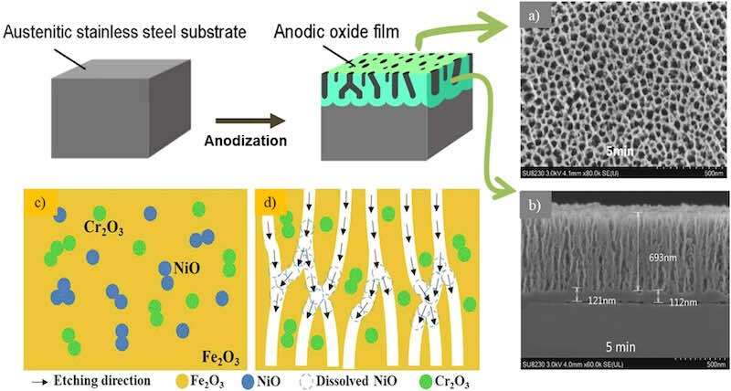 Fig. 3. Schematic illustration and SEM characterization of nanoporous oxide formation on austenitic stainless steel by anodization. The process flow (top left) depicts the transformation of the substrate to a nanoporous anodic oxide film. SEM images show (a) the top view and (b) the cross-sectional morphology of the disordered nanoporous oxide layer after anodization for 5 min in electrolyte containing 0.1 M NH4F and 0.1 M H2O in EG (50 V at 20 °C). Bottom schematics (c, d) represent the random distribution of NiO and Cr2O3 phases within the Fe2O3 matrix before (c) and after (d) selective etching, highlighting electric field-assisted chemical dissolution of Ni oxides that guides pore development and leads to a disordered pore arrangement. Images adapted and modified with permission from the sources[39,79].
