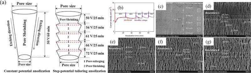 Fig. 6. Evolution of pore size during anodization: (a) Schematic comparison of constant potential anodization and multi-step potential tailoring anodization. (b) Current transient curves correspond to the multi-step potential tailoring approach. (c) Cross-sectional SEM image of the resulting nanostructure. (d-g) High-magnification SEM images of four distinct boundaries, corresponding to the marked regions in (c). Images have been reproduced and modified with permission from the publisher[39].