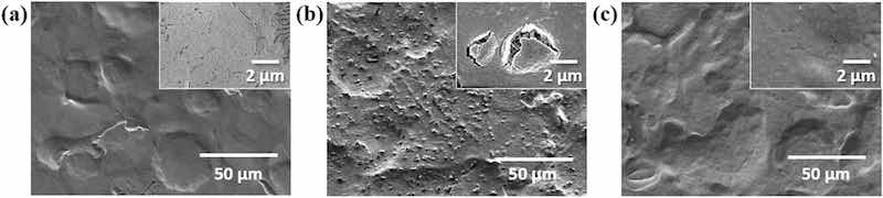 Figure 3: SEM images of (a) ZS, (b) C-ZS, and (c) CP-ZS before exposure to high humidity treatment. Insets of (a)â(c) show the magnified SEM images.