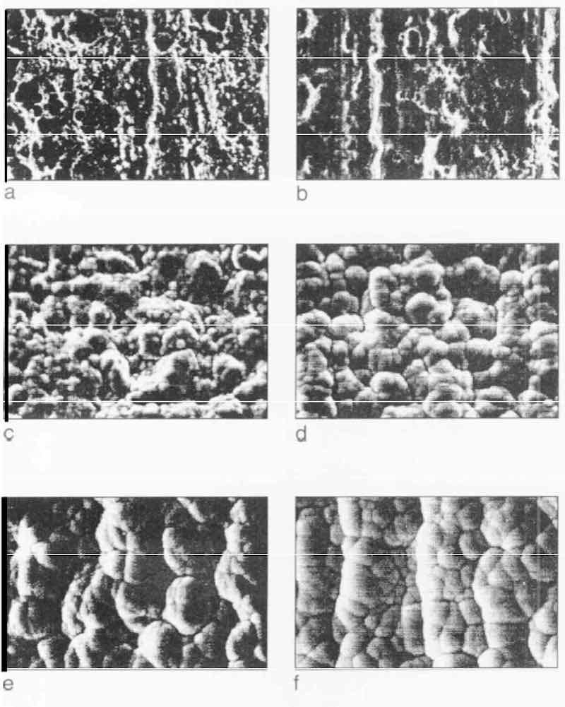 Fig. 6âProgress of EN deposition on Grind 2 substrate after electropolishing and deposition rate of 12 Âµm/hr: (a) O rein; (b) 1 rein; (c) 5 rein; (d) 10 rein; (e) rein; (f) 30 min.
