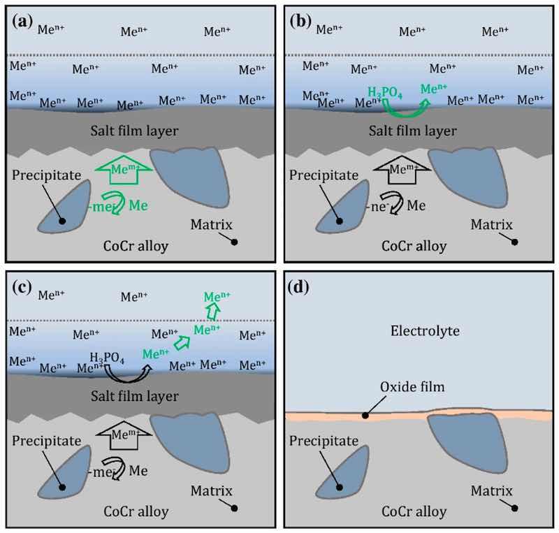 Figure 11. The electropolishing of CoCr dental implants in phosphoric acid, (a) initial formation of salt film layer, (b) formation of the anode and electrolyte ions, (c) movement of anode ions through the salt film, (d) an electropolished (levelled) surface of metal with oxide film formed [116].