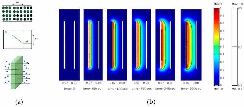 Figure 12. (a) The movement of ions from surface of anode based on the concentration gradient developed in electrolytic solution. (b) Formation of uniform and thick viscous film at anode for various time intervals at constant diffusion coefficient (D = 10â7cm/s) [118], open access provided by WIT press 2005.