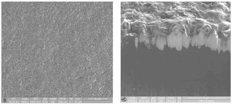 Figure 4âSurface and cross-section of magnesium with conversion coating.