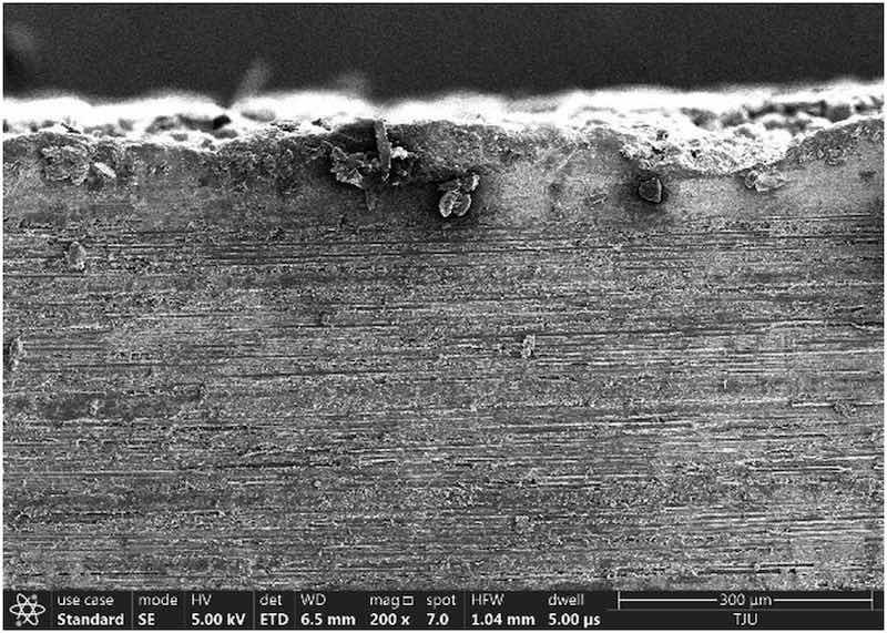 Figure 5. Morphology of coating/substrate interface.