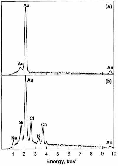 Fig. 4âEDX results for the corroded specimen of Fig. 3.
