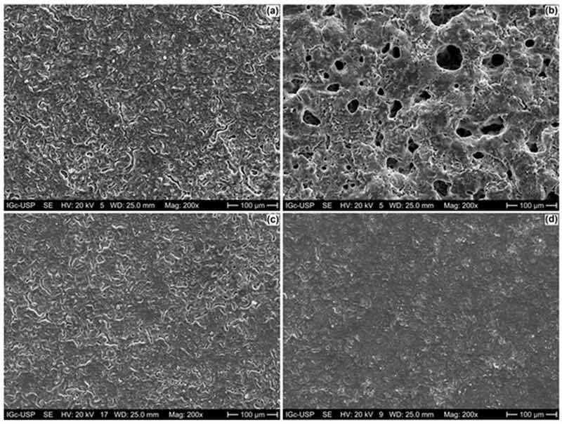 Figure 1. SEM micrographs (secondary electrons mode) of the anodized ZK60A alloy: (a) 0-GO; (b) 0.5-GO; (c) 1.0-GO; (d) 3.0-GO.