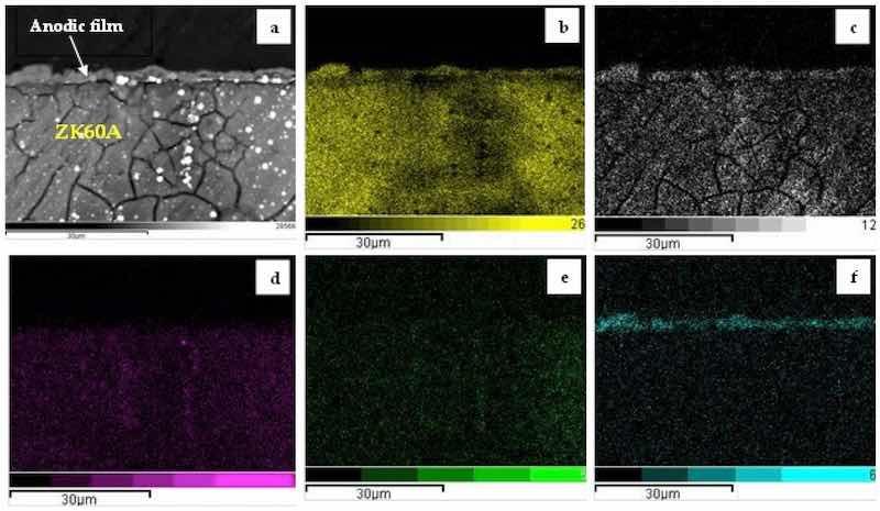 Figure 5. Cross-sectional SEM-BSE micrograph (a) and corresponding EDS maps of the 3.0-GO sample: (b) O, (c) Mg; (d) Zn, (e) Zr; (f) Si.