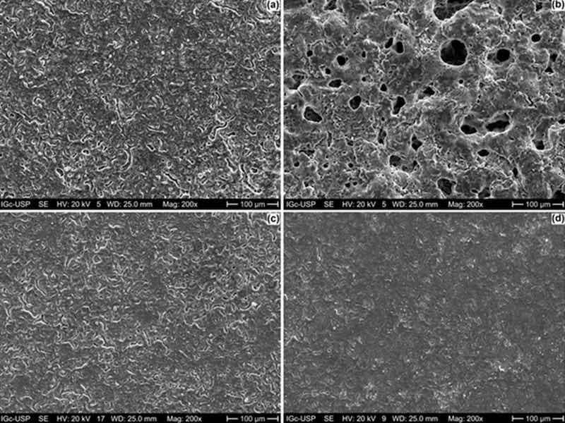 SEM micrographs 