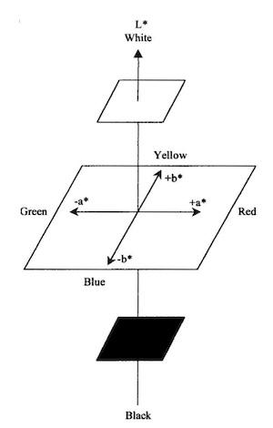 Fig. 5âCIELAB color coordinates system for objective quantification of color.11