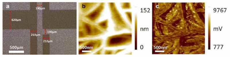 Figure 4. (a)âsurface morphology of the proposed sensor after etching technology; (b)âSurface morphology and (c) PFM phase images of the PVDF sensor film [73].