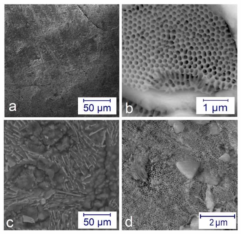 Figure 3. SEM pictures on the microstructure of the anodized layers: (a) a compact surface at j = 2 A/dm2 at 4 h; (b) beehive-like structure formed at j = 6 A/dm2 for 1 h in different magnifications; (c) compact surface at j = 6 A/dm2 for 1 h after post-treatment; (d) half compactâhalf porous surface at j = 2 A/dm2 for 4 h after post-treatment.