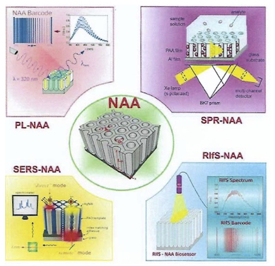 Figure 2 - Schematic diagram showing all four optical sensing techniques coupled with NAA for developing highly sensitive optical sensors.