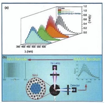 Figure 7 - Biosensor for trypsin: (a) Photoluminescence (PL) spectrum of NAA showing Fabry-PÃ©rot fringes and stepwise changes in PL in the presence of trypsin at the pores; (b) Typical PL setup used for recording luminescence of an NAA substrate along with the Fabry-PÃ©rot fringes that can be converted to PL.