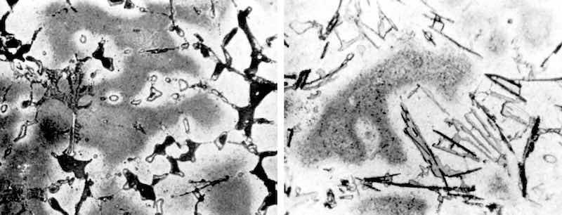 Figure 9 - Surface of LM4 alloy after polishing and dipping in modified zincate solution; Figure 10 - Surface of LM12WP alloy after polishing and dipping in modified zincate solution.